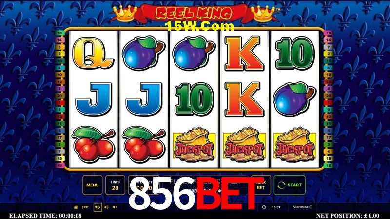 Statistics 856Bet
