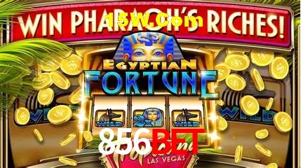Descubra o Programa VIP da 856Bet: Vantagens Exclusivas para Jogadores